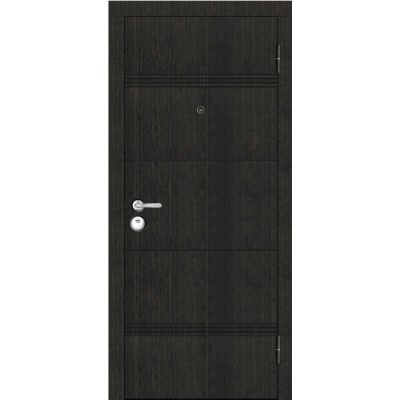 Metāla ārdurvis Horizont Kondoors