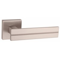 Rokturi Tupai 2736 Q